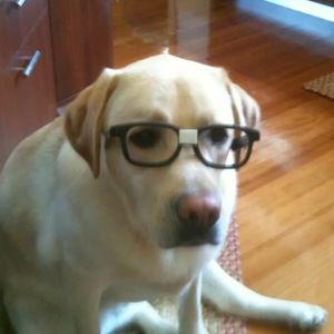 Meet your Posher, Medha